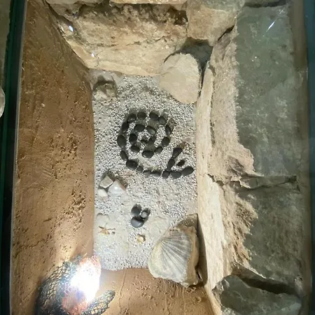 Lu Batil - 4*